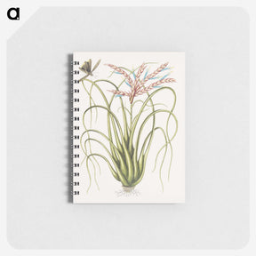 1-73_Mark-Catesby_memo