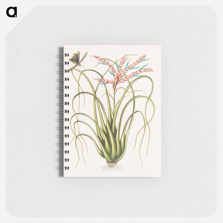 アートメモ帳-Wild Pine
 - マーク ケイツビー Memo.