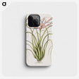 1-73_Mark-Catesby_phone