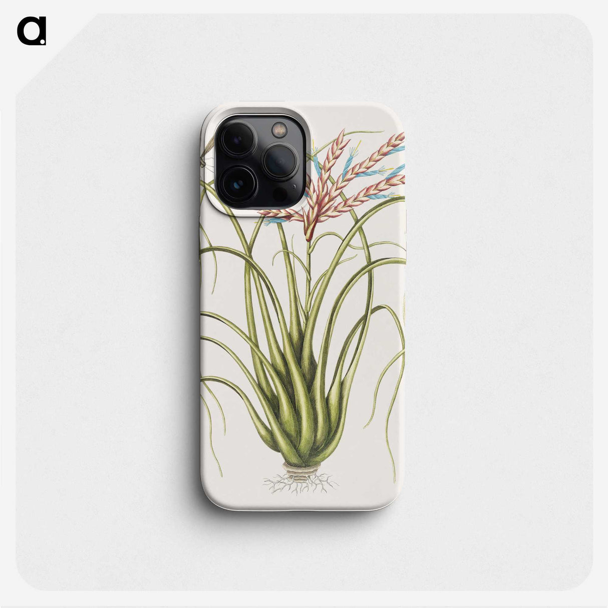 1-73_Mark-Catesby_phone