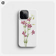 1-73_Mary-Vaux-Walcott_phone