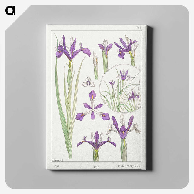 1-73_Maurice-Pillard-Verneuil_canvas