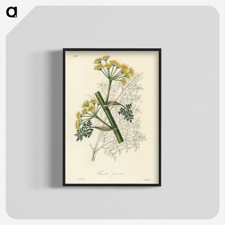 1-73_Medical-Botany_blk-crop