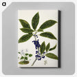 1-73_Native-Flowering-Plants-of-New-Zealand_canvas