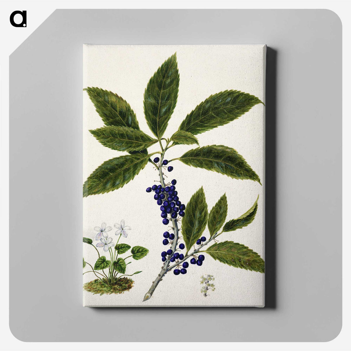 1-73_Native-Flowering-Plants-of-New-Zealand_canvas