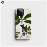 1-73_Native-Flowering-Plants-of-New-Zealand_phone