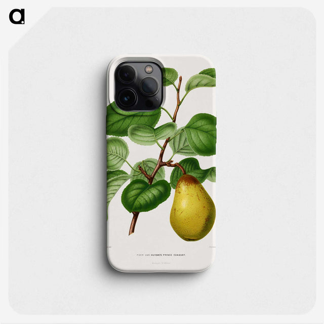 1-73_Nederlandsche-Flora-en-Pomona_phone