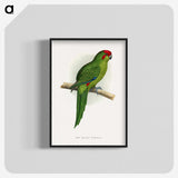 1-73_Parrots-in-Captivity_blk-crop