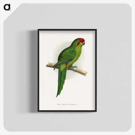 1-73_Parrots-in-Captivity_blk-crop