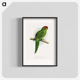 1-73_Parrots-in-Captivity_blk