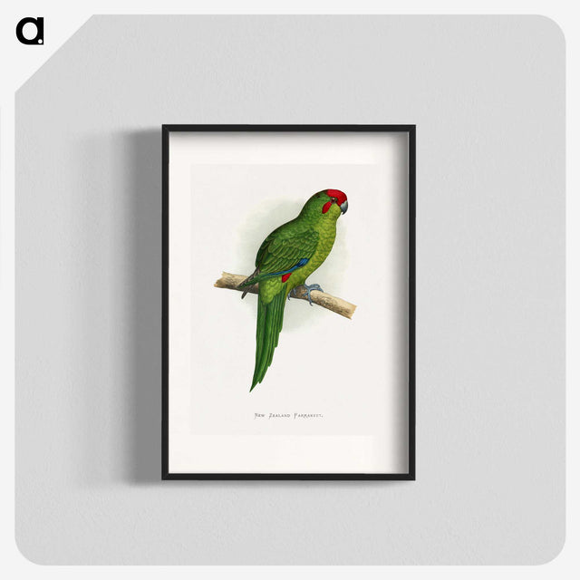 1-73_Parrots-in-Captivity_blk