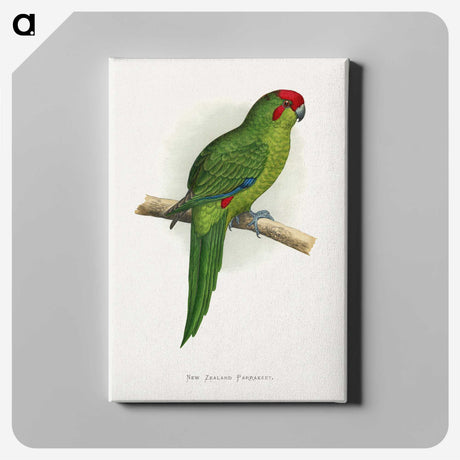 1-73_Parrots-in-Captivity_canvas