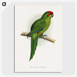 1-73_Parrots-in-Captivity_picture-crop