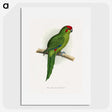 1-73_Parrots-in-Captivity_picture