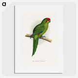 1-73_Parrots-in-Captivity_picture