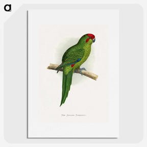 1-73_Parrots-in-Captivity_picture