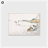 アートポストカード-Falcated Teal and Reed Illustration
 - 鳥類図鑑 Postcard.