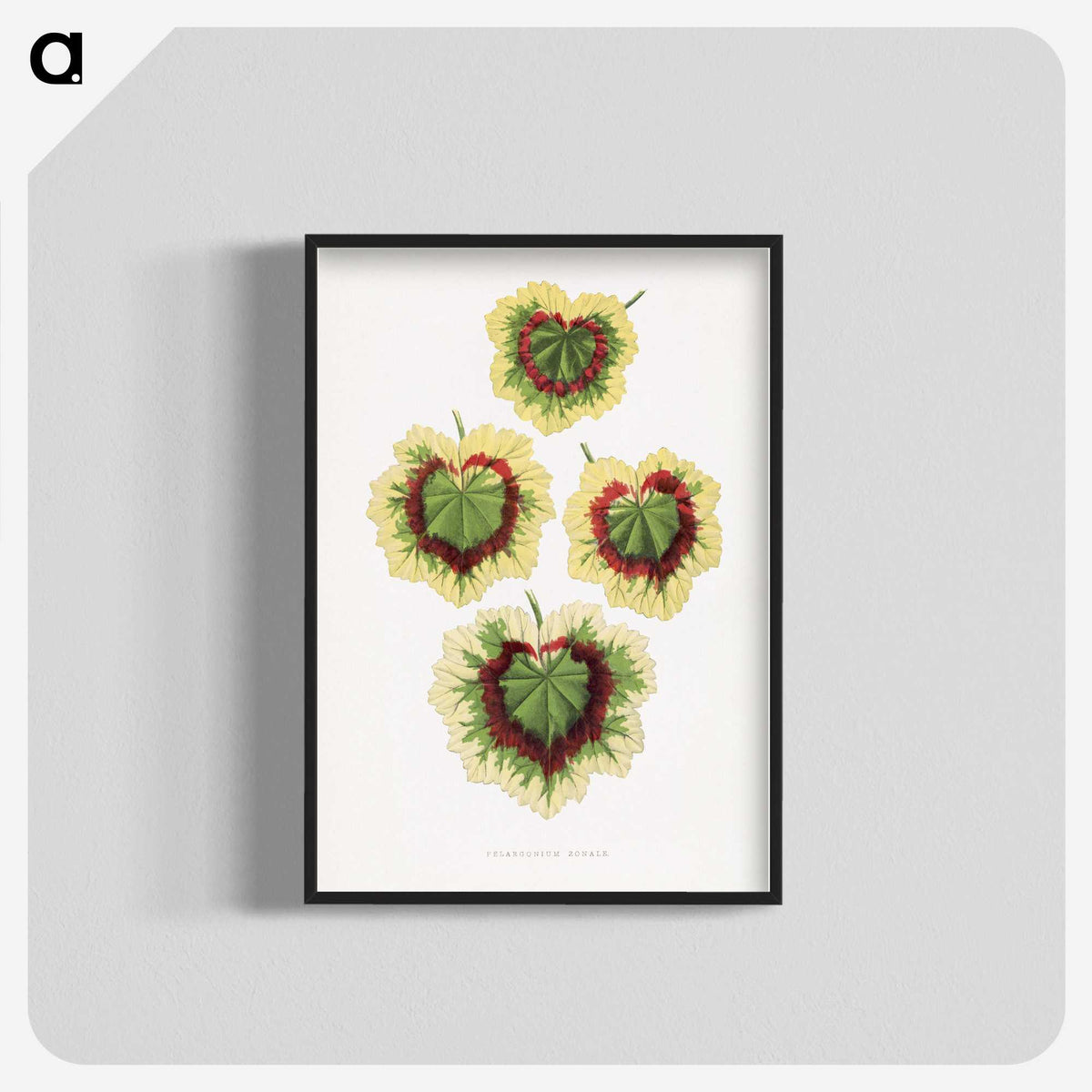 1-73_Plants-with-Colored-Foliage_blk-crop