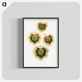 1-73_Plants-with-Colored-Foliage_blk-crop