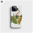 1-73_Pomona-Italiana_phone