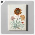 1-73_Robert-Jacob-Gordon_canvas