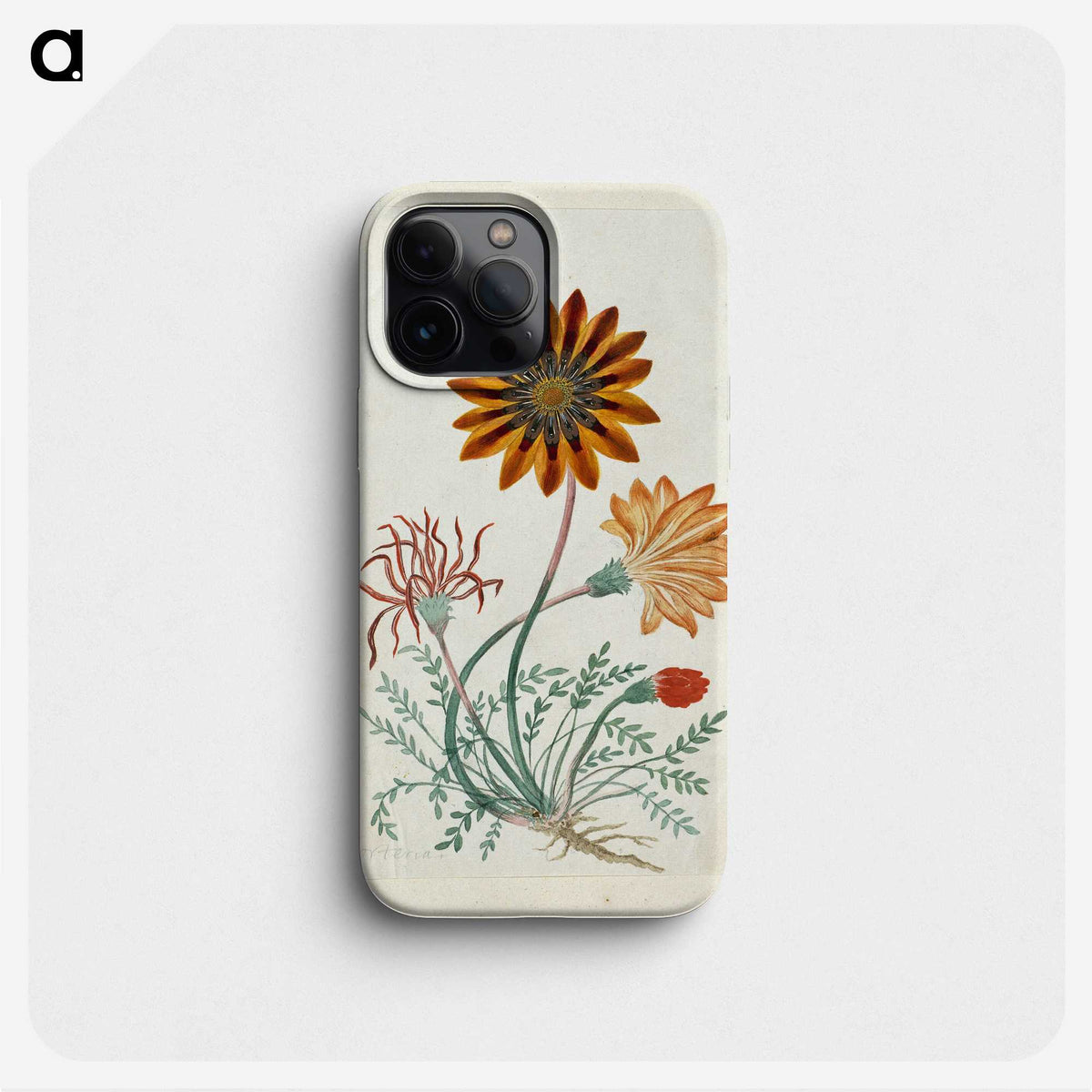 1-73_Robert-Jacob-Gordon_phone