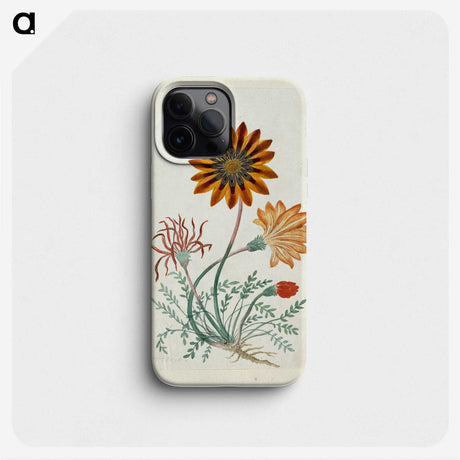 1-73_Robert-Jacob-Gordon_phone