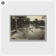 アートポストカード-Swimmers in River
 - セントルイス美術館 Postcard.