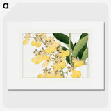 1-73_Seiyo-Soka-Zufu_picture