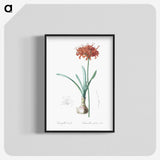 1-73_The-Lilies_blk-crop