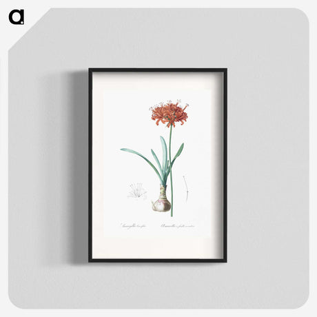 1-73_The-Lilies_blk
