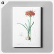 1-73_The-Lilies_canvas