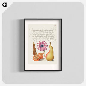 アートポスター-Medlar, Poppy Anemone, and Pear from Mira Calligraphiae Monumenta
 - 書道のお手本 Poster.