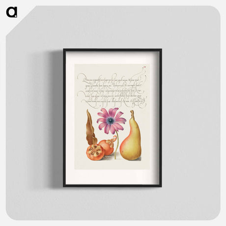 アートポスター-Medlar, Poppy Anemone, and Pear from Mira Calligraphiae Monumenta
 - 書道のお手本 Poster.