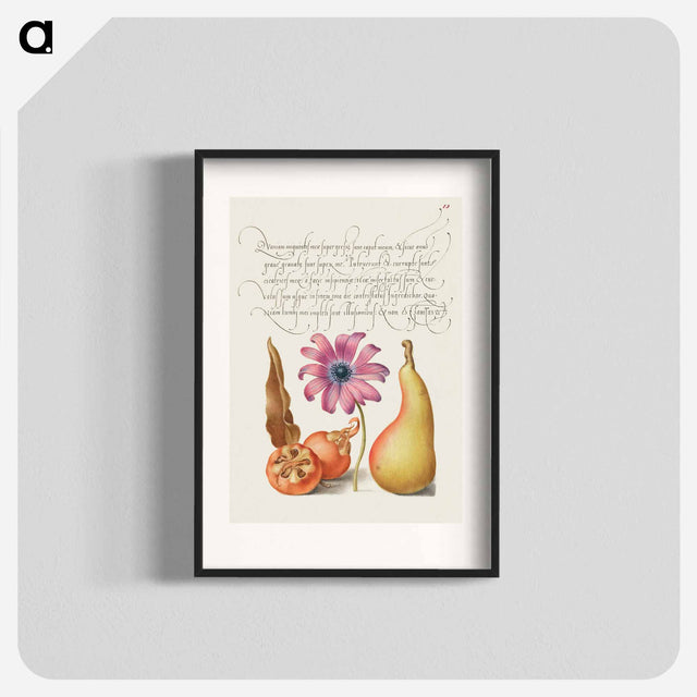 アートポスター-Medlar, Poppy Anemone, and Pear from Mira Calligraphiae Monumenta
 - 書道のお手本 Poster.