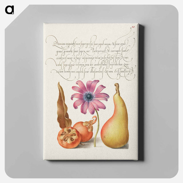 アートパネル-Medlar, Poppy Anemone, and Pear from Mira Calligraphiae Monumenta
 - 書道のお手本 Canvas.