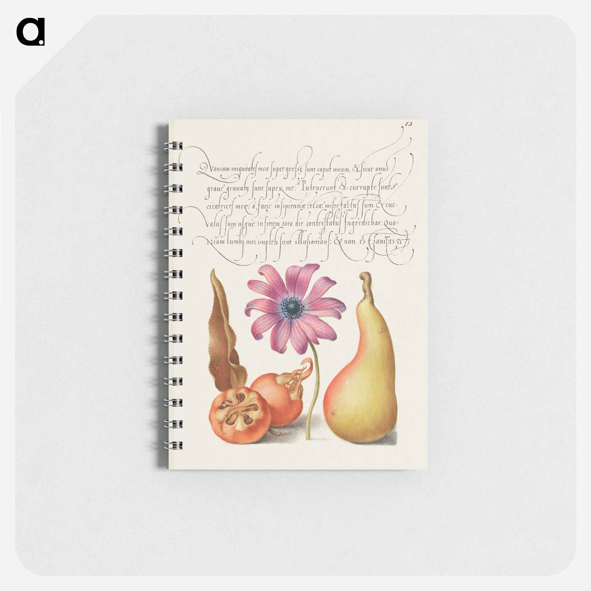 アートメモ帳-Medlar, Poppy Anemone, and Pear from Mira Calligraphiae Monumenta
 - 書道のお手本 Memo.