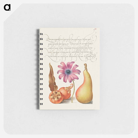 アートメモ帳-Medlar, Poppy Anemone, and Pear from Mira Calligraphiae Monumenta
 - 書道のお手本 Memo.