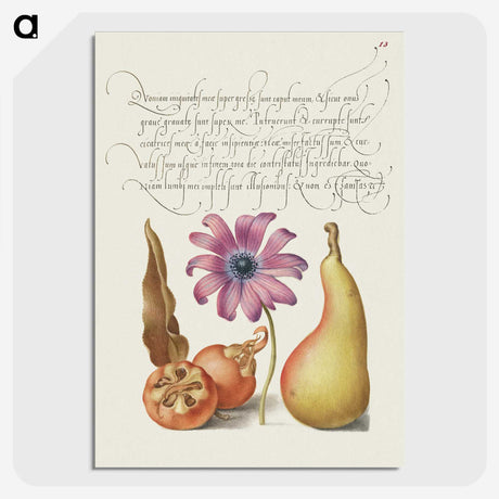 1-73_The-Model-Book-of-Calligraphy_picture-crop