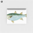 1-73_The-Natural-History-of-British-Fishes_memo
