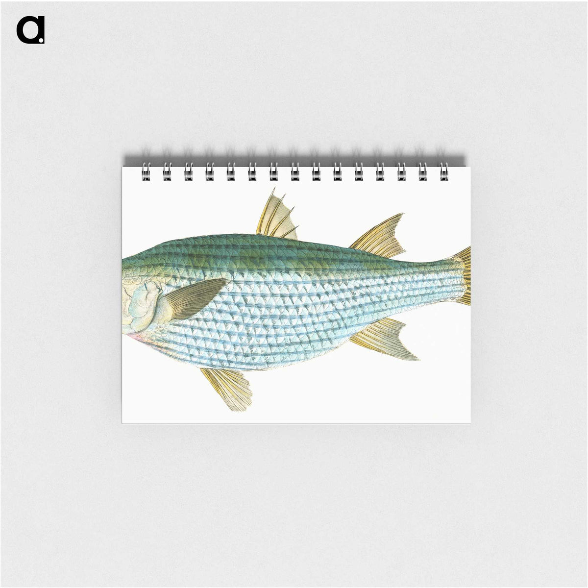 1-73_The-Natural-History-of-British-Fishes_memo