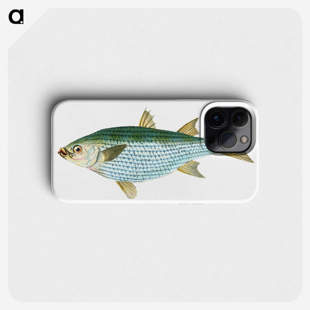 1-73_The-Natural-History-of-British-Fishes_phone