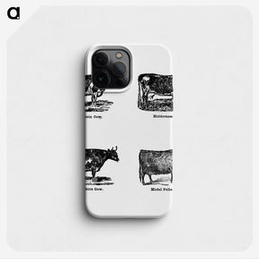 1-73_The-Open-Door-to-Independence_phone