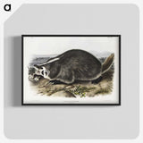 1-73_The-Viviparous-Quadrupeds_blk-crop