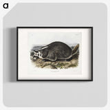 1-73_The-Viviparous-Quadrupeds_blk
