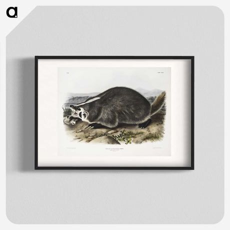 1-73_The-Viviparous-Quadrupeds_blk