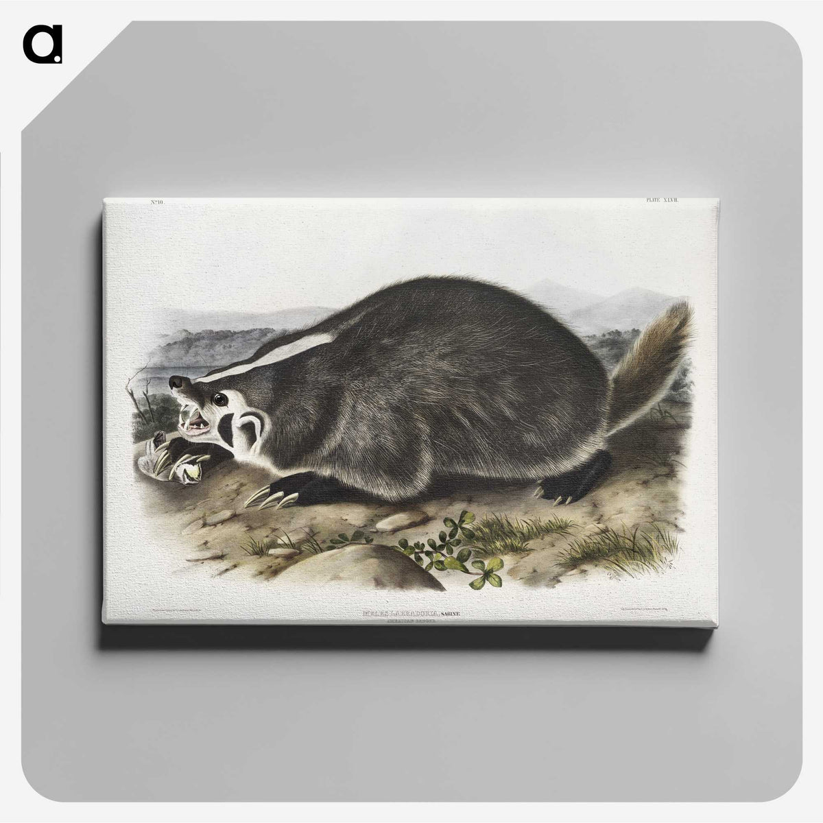 1-73_The-Viviparous-Quadrupeds_canvas