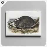 1-73_The-Viviparous-Quadrupeds_canvas