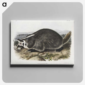 1-73_The-Viviparous-Quadrupeds_canvas