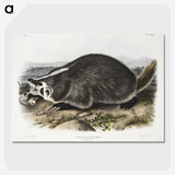 1-73_The-Viviparous-Quadrupeds_picture-crop